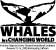 2008 American Cetacean Society conference logo design - click to view enlargement