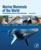Marine Mammals of the World, Second Edition' - click to view enlargement