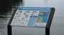 illustration for the Whale Trail signs - click to view enlargement